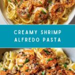 Shrimp Alfredo Recipe