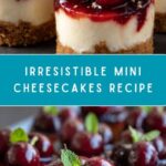 Mini Cheesecakes Recipe