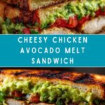 Chicken Avocado Melt Sandwich Recipe
