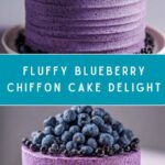 Blueberry Chiffon Cake Recipe