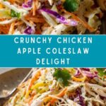 Chicken Apple Coleslaw Recipe
