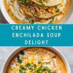 Creamy Chicken Enchilada Soup Recipe