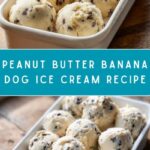 Homemade Dog Ice Cream Recipe