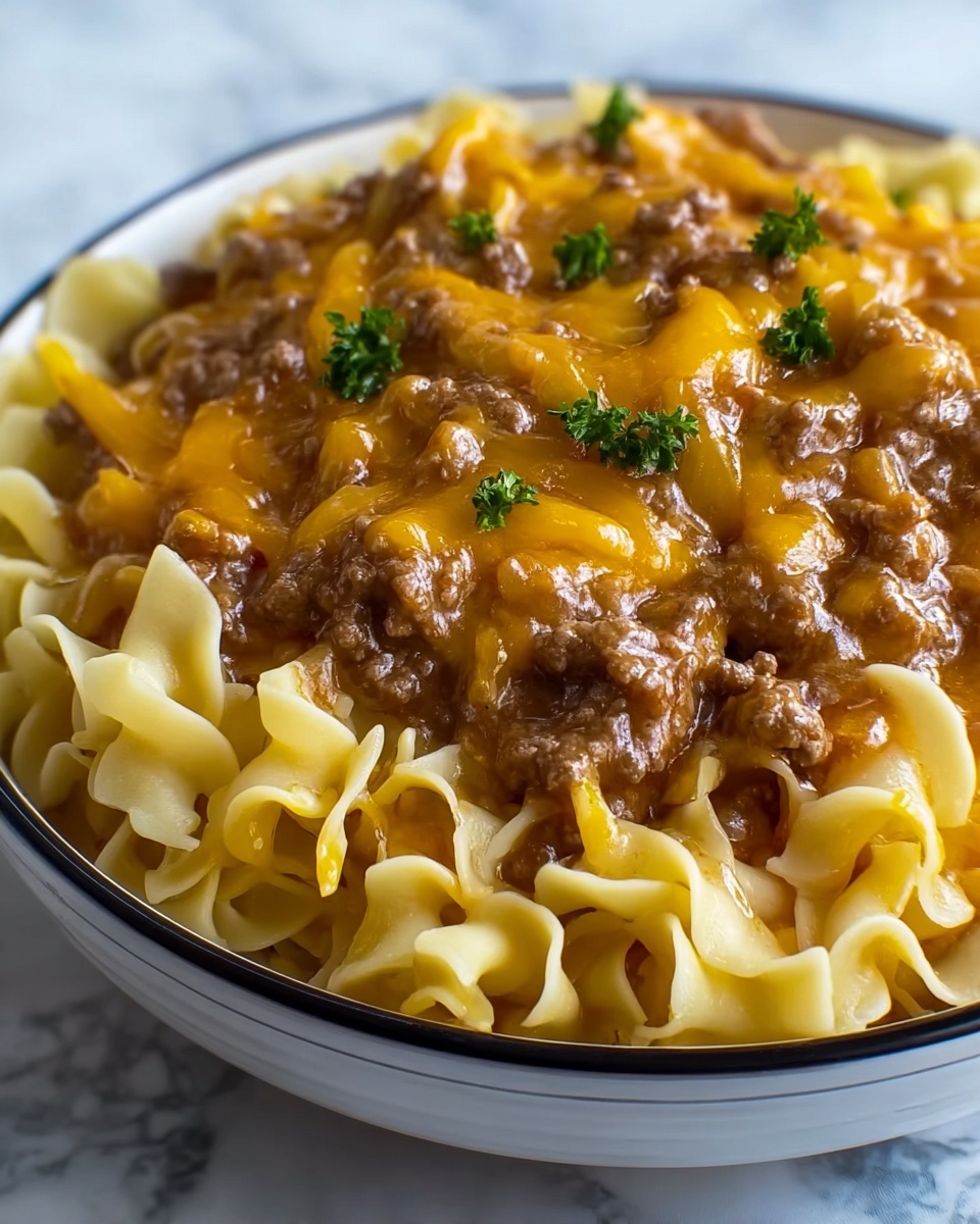 Easy Crockpot Cheesy Beef and Noodles Recipe - Recipe Image