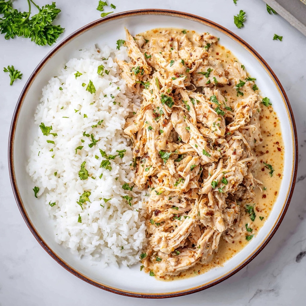 Crockpot Chicken and Stuffing Recipe - Recipe Image